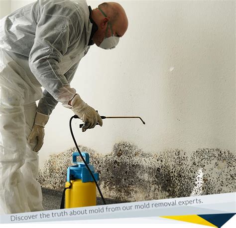 The Benefits of Using Magic Mold Remover in Commercial Spaces